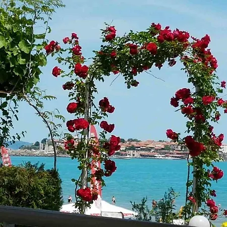 Aphrodite Otel 4*